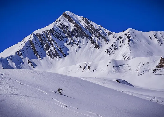 Апартаменты Panorama Aspen